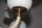 Lámpara de araña de cristal de Murano, años 40, Imagen 9