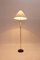 Lámpara de pie Mid-Century moderna, años 50, Imagen 5