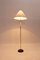 Mid-Century Modern Floor Lamp, 1950s, Image 5