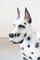 Dalmatian Dog in Resin, 1970s 3