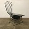 Vintage Black Bird Chair in the style of Harry Bertoia for Knoll, 1952 18