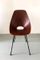 Vintage Medea Dining Chair by Vittorio Nobili for Tagliabue 5