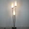 French Floor Lamp, 1950s 3