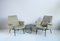 SK 660 Armchairs by Pierre Guariche for Steiner, 1950s, Set of 2 8
