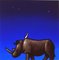 Rinoceronte, 1997 Tino Stefanoni 12