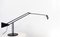 Mid-Century Flamingo Lamp by Fridolin Naef for Luxo 8