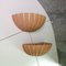 French Shell Wall Lights, 1970, Set of 2 2