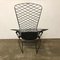 Vintage Black Bird Chair in the style of Harry Bertoia for Knoll, 1952 14