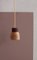 Nutshell Pendant Light by Joe Lyster for Lumo Lights 4