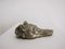 Bronze Greyhound Dog Paper Clip, 1915 6