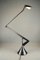 Zelig Floor or Table Lamp by Walter Monici for Lumina, 1990s 11