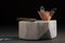 Santa Clara Desk Organizer by Caterina Moretti for PECA, Image 4