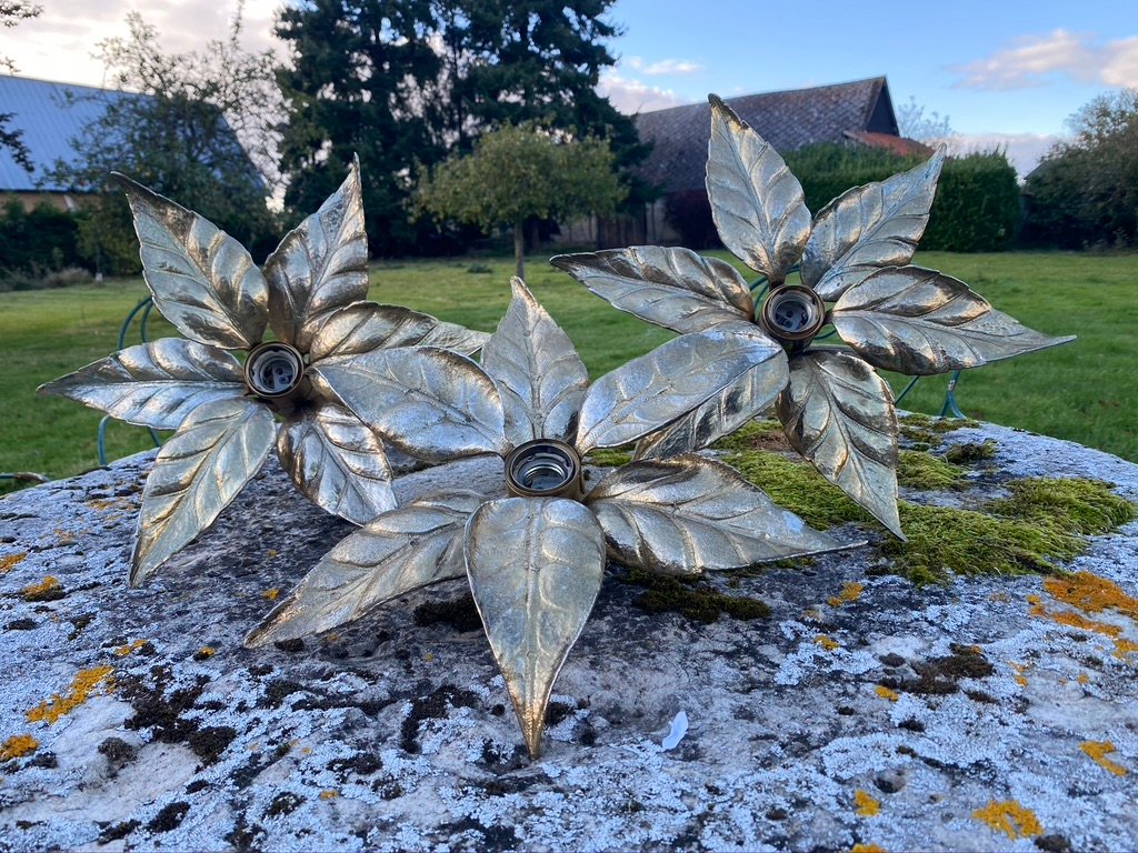 Apliques belgas florentinos de Willy Daro para Massive Lighting. Juego