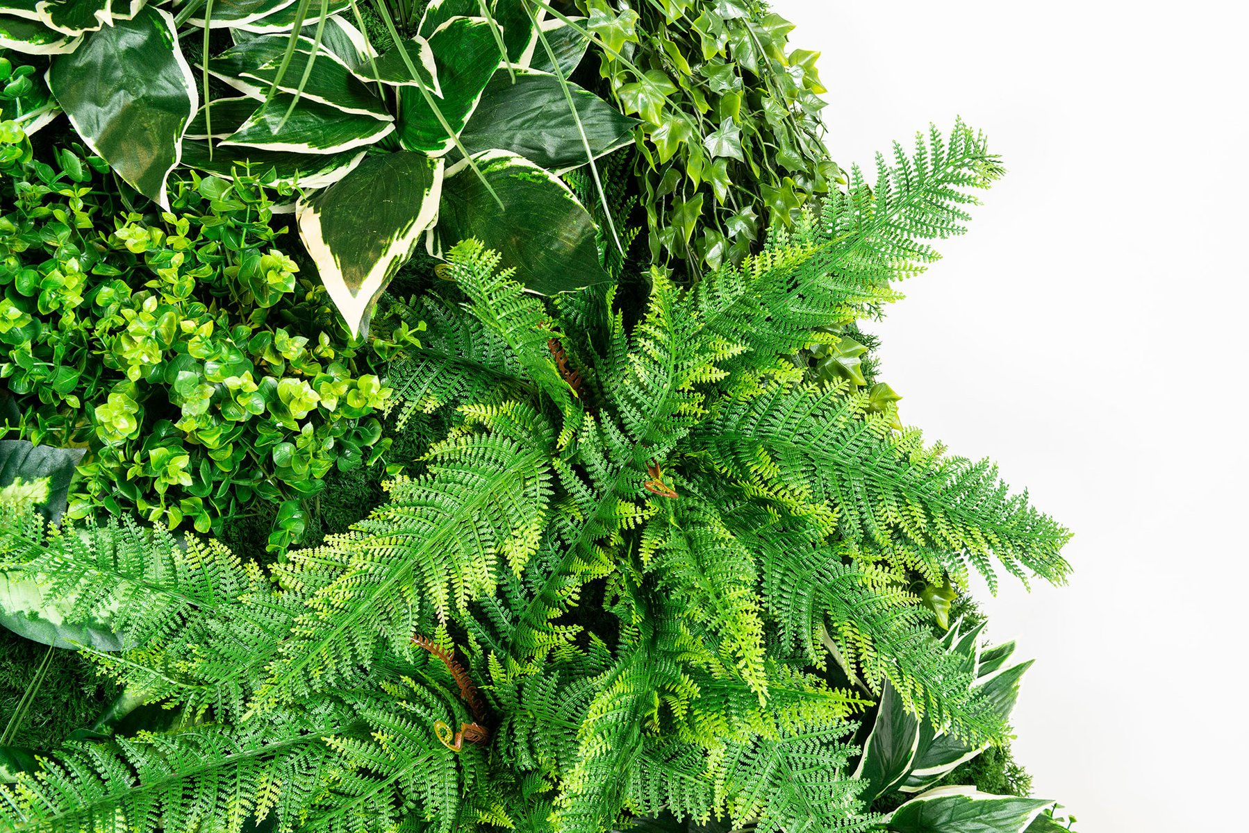 Molokai Modular Vertical Garden Panel from VGnewtrend for sale at Pamono