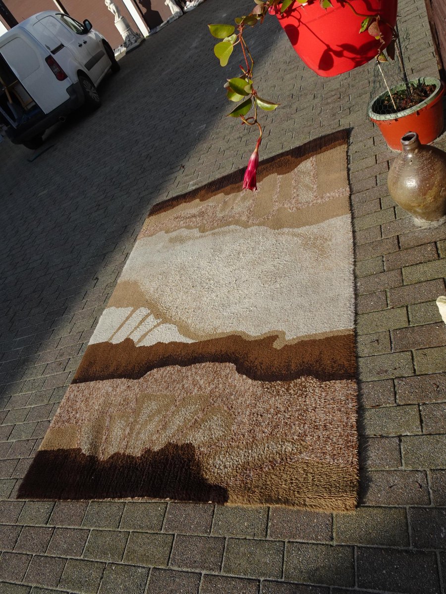 Vintage Dutch Wool Rug Carpet from Desso, 1970s for sale at Pamono