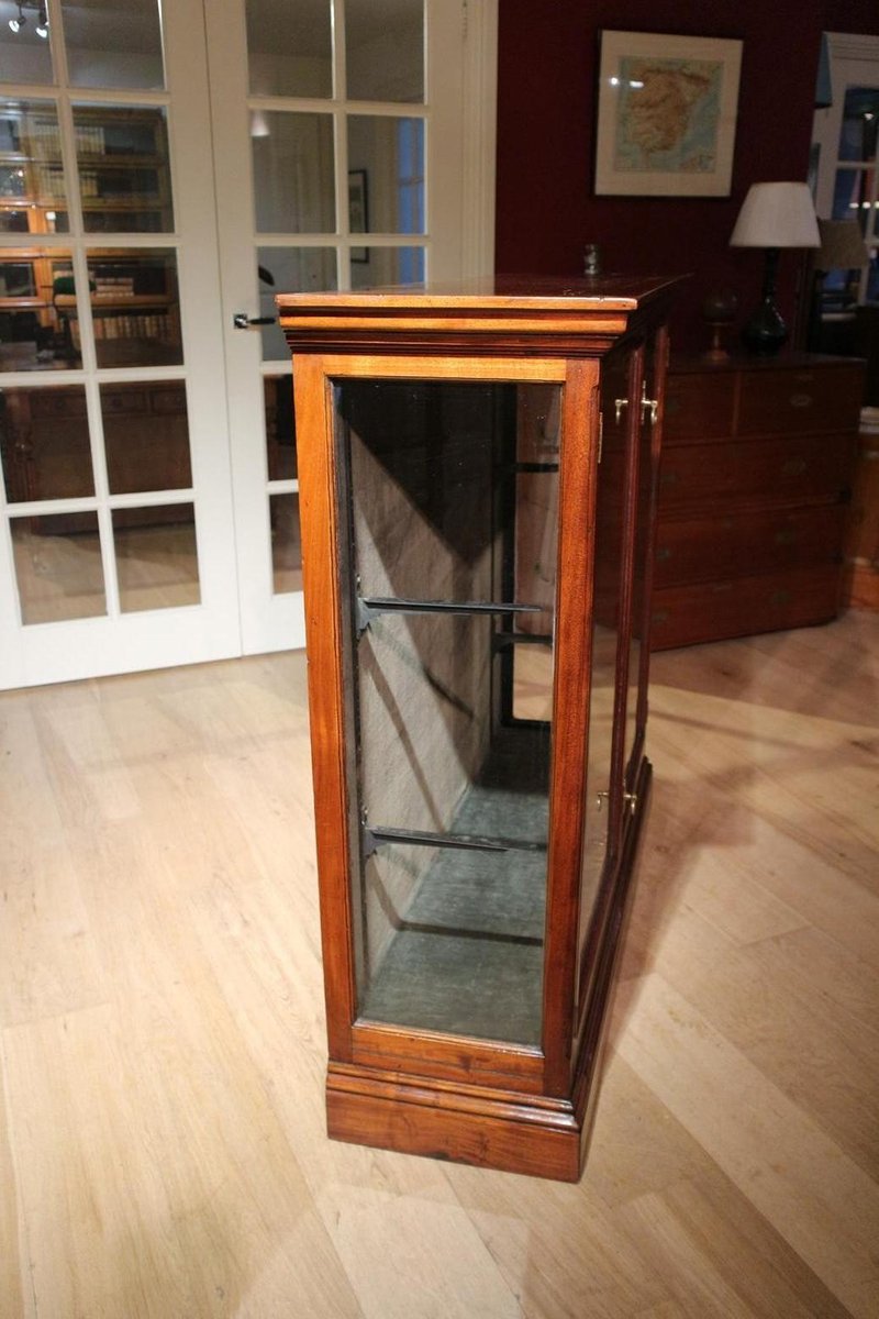 Antique Mahogany Display for sale at Pamono