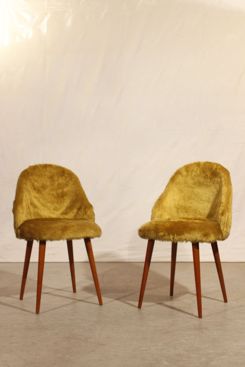 Mustard Yellow Wooden Chairs, 1950, Set of 2 for sale at Pamono