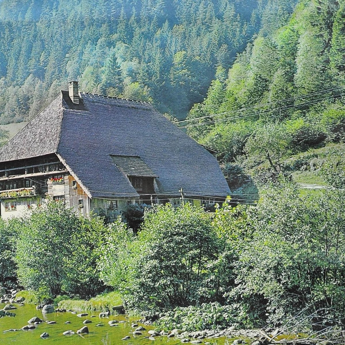 Black Forest House Landscape Scenery River Dam Wall Chart Poster for sale at Pamono
