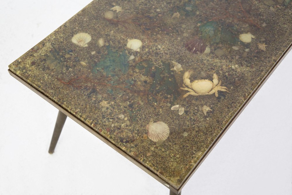 Vintage Brass & Resin Coffee Table With Marine Fossils for sale at Pamono