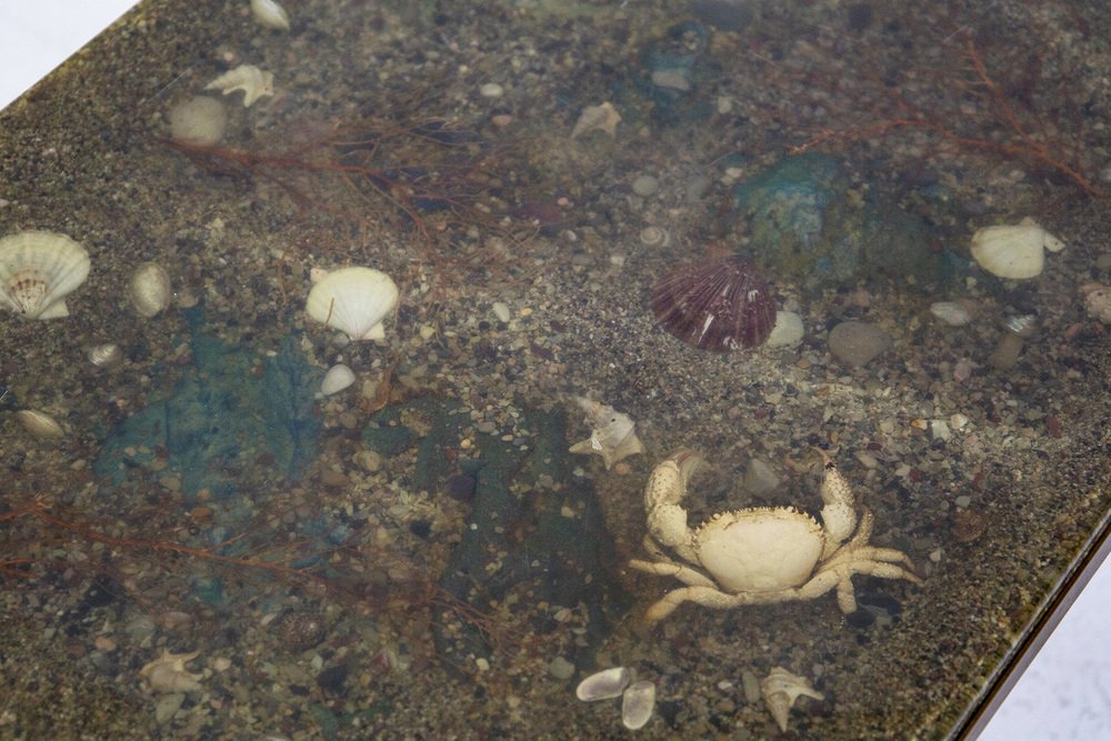 Vintage Brass & Resin Coffee Table With Marine Fossils for sale at Pamono