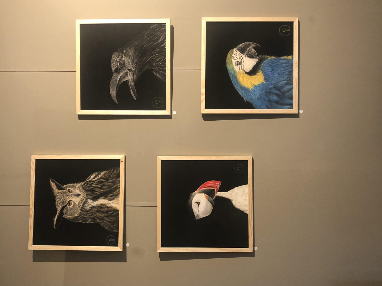 Paloma Ibañez, Fratercula Artica, Macareux Moine, Pastell auf Baumwolle ...