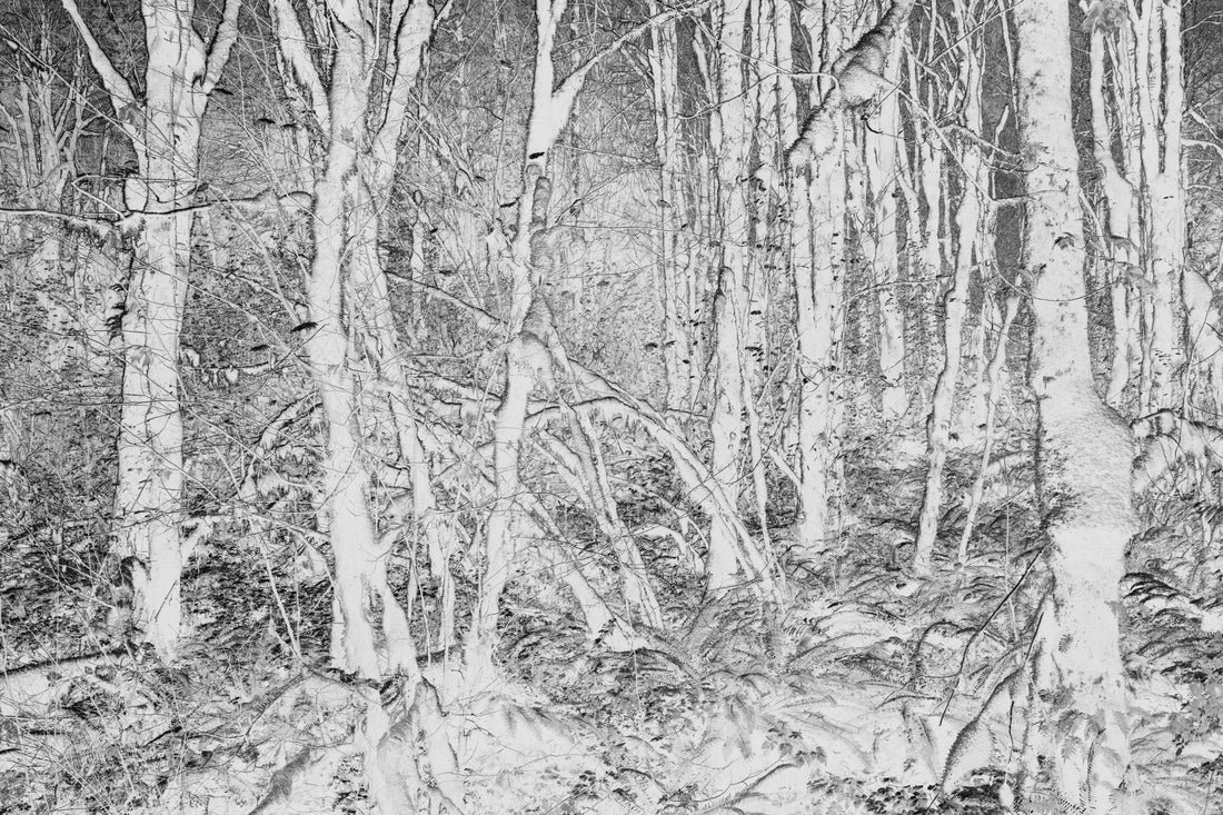 SUPPORTO METALLICO ANTIPOLVERE ALTOPARLANTE EAR SPEAKER PER HUAWEI MATE - Foto 4