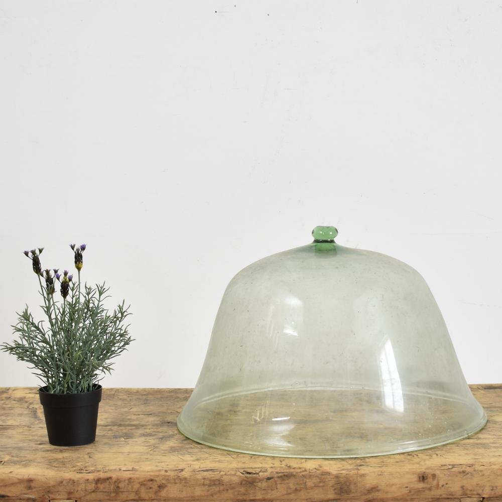 Cloche Dôme Antique en Verre, France en vente sur Pamono
