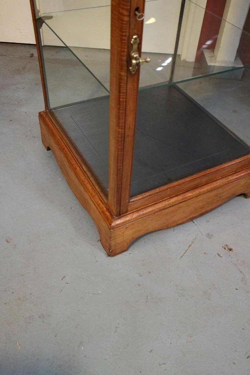 Antique Display in Mahogany for sale at Pamono
