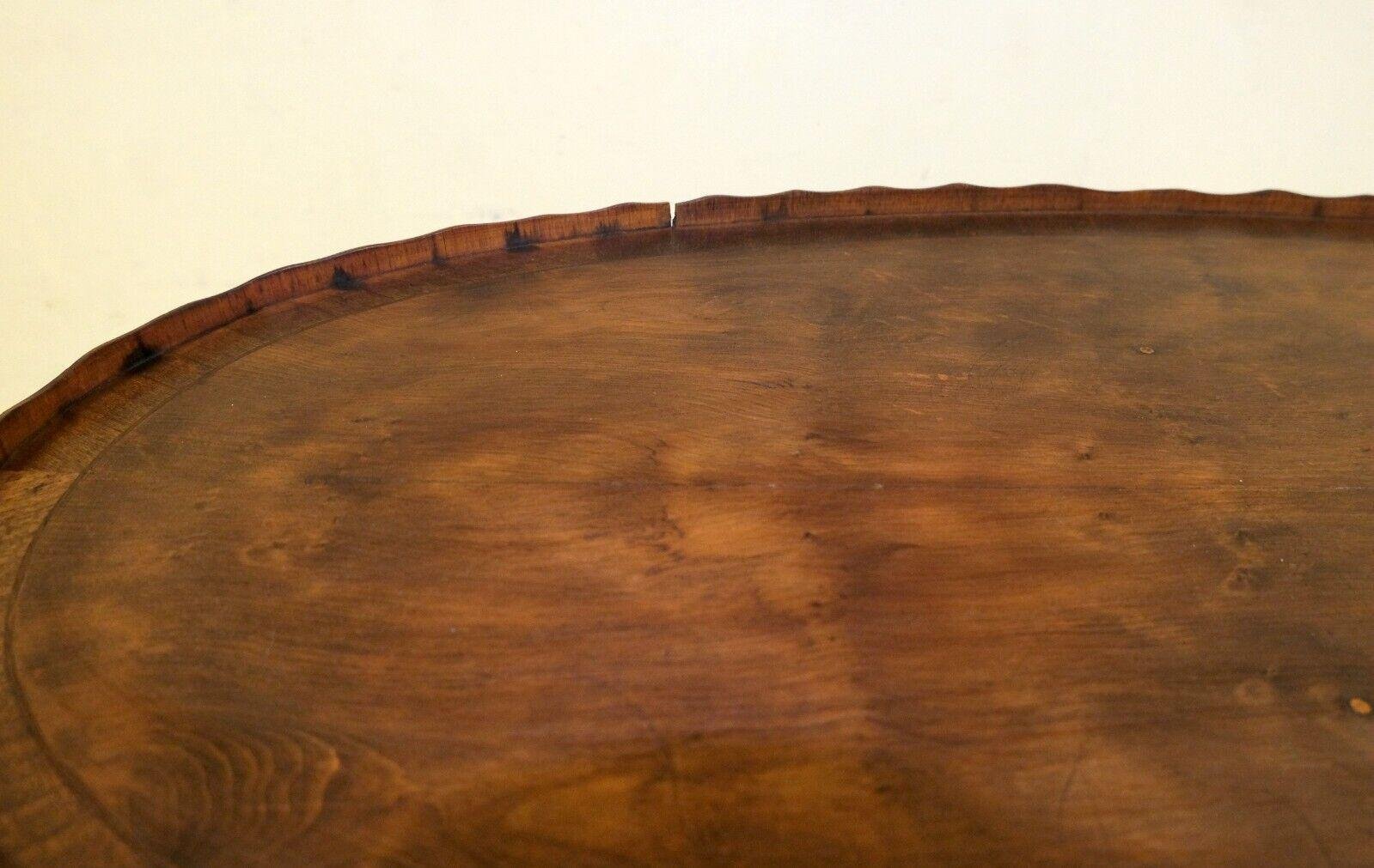 Antique Regency Oval Yew Wood Pie Crust Edge Coffee Table on Sabre Feet