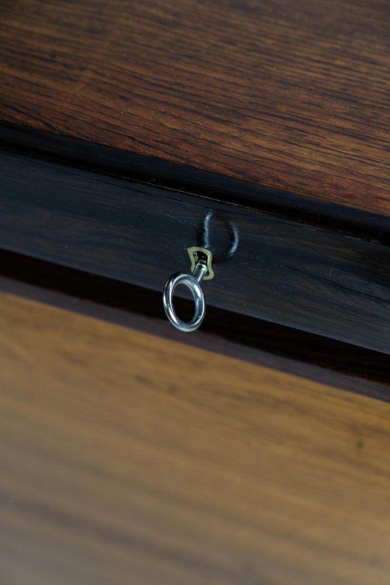 Danish Rosewood with PullUp Door, 1960s for sale at Pamono