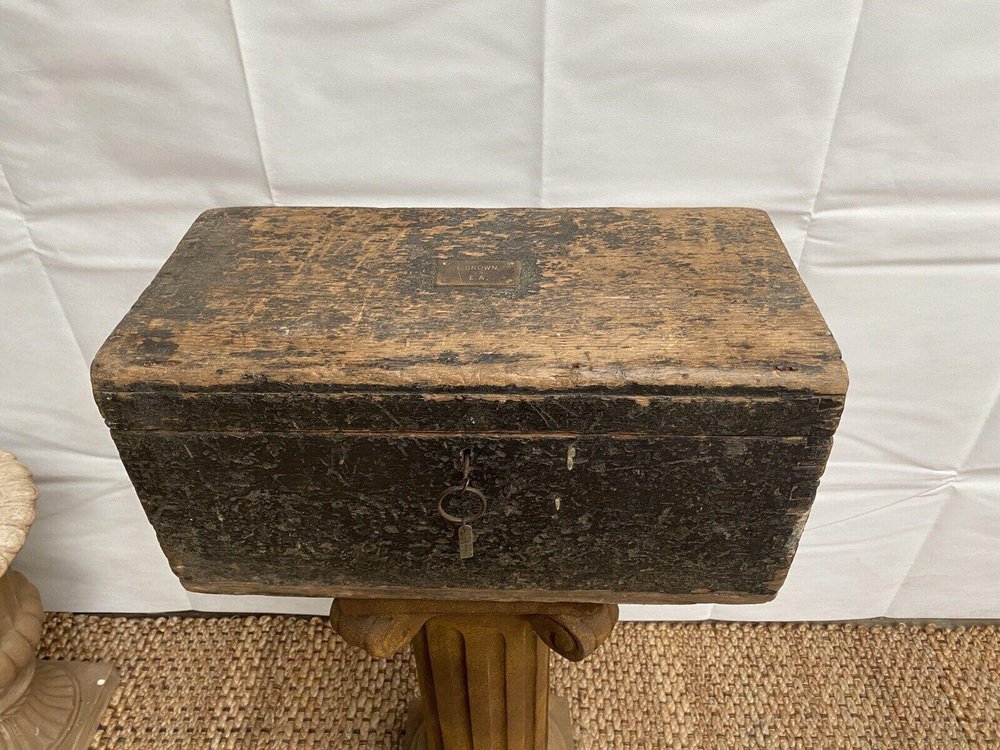 Antique Pine Merchant Chest, 1890s for sale at Pamono