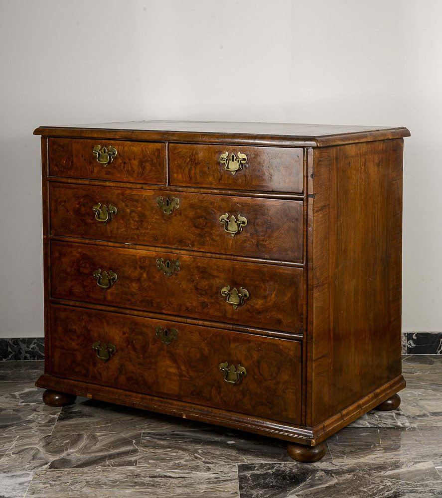 English Commode with Five Drawers in Walnut Root, 1800s for sale at Pamono