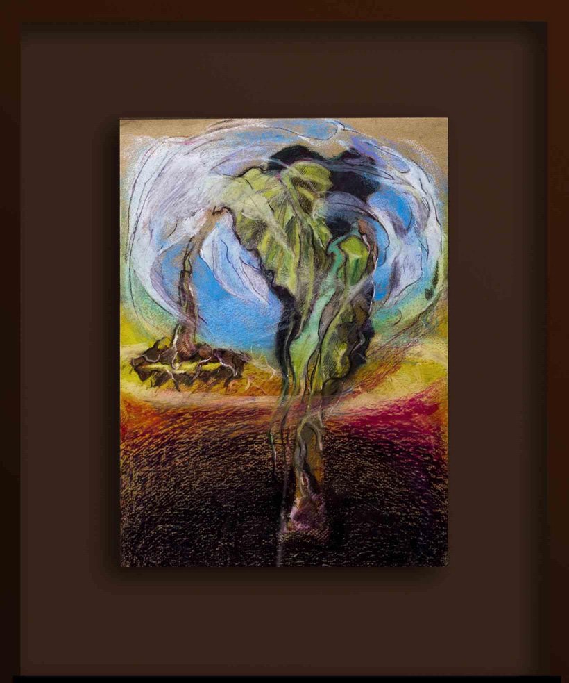 Michael Burgess, Life Cycles, Dying Sunflower, 1978, Oil Pastel Drawing for sale at Pamono