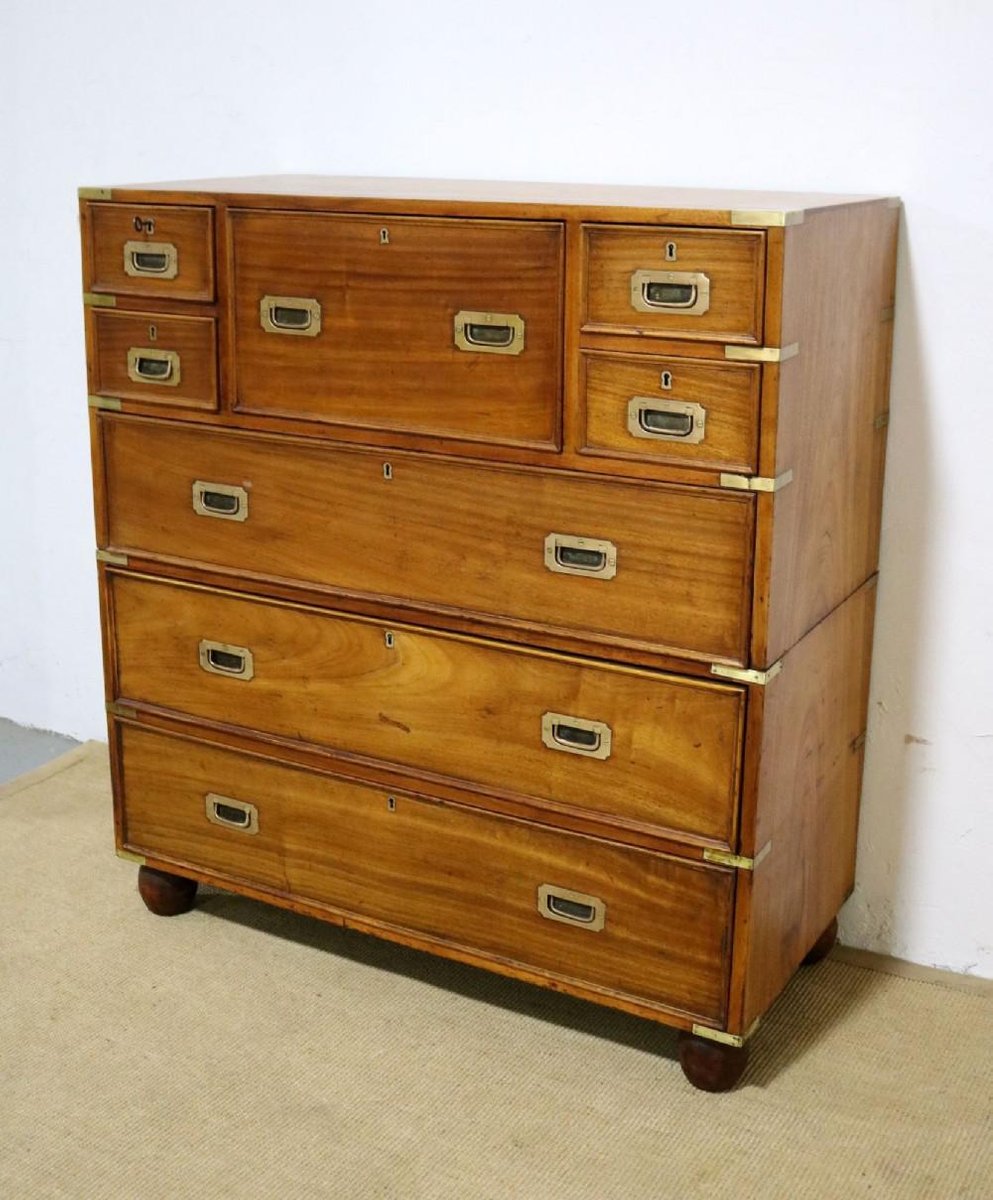 Late 19th Century Camphor Military Chest for sale at Pamono