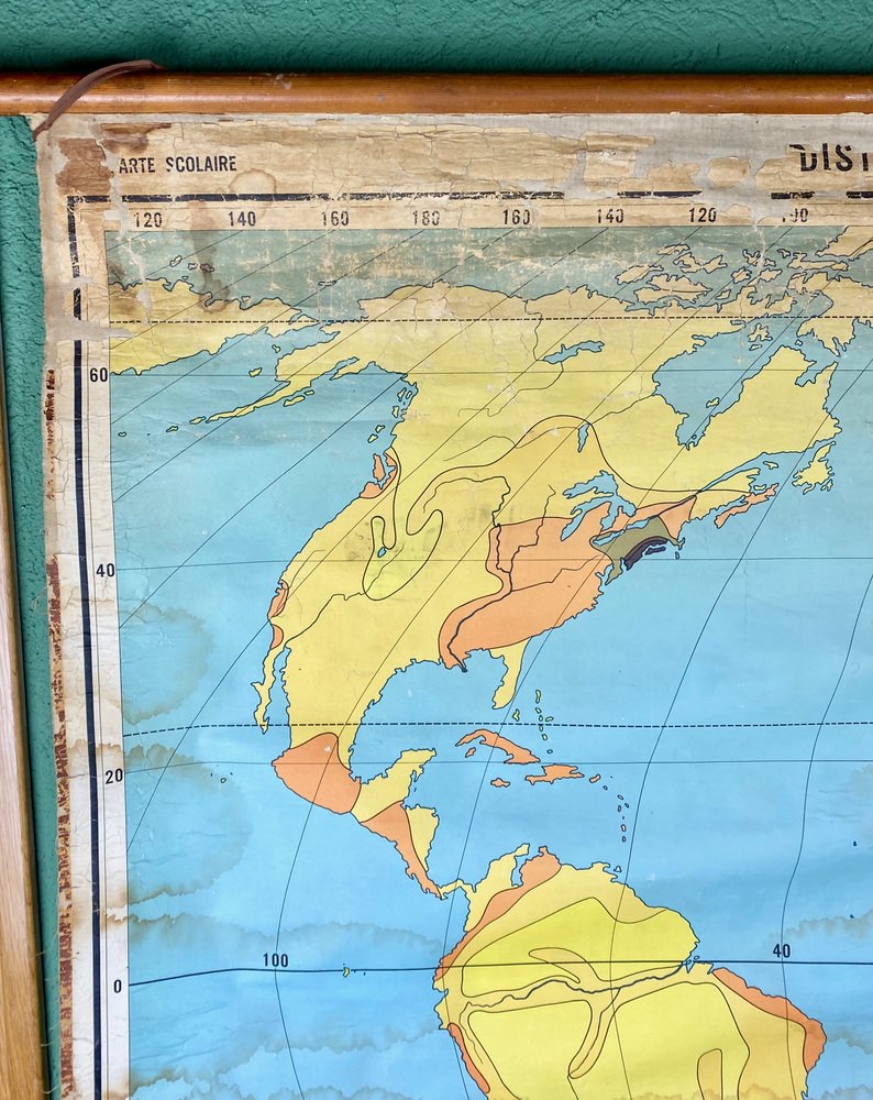 Population distribution and density map 1960s for sale at pamono