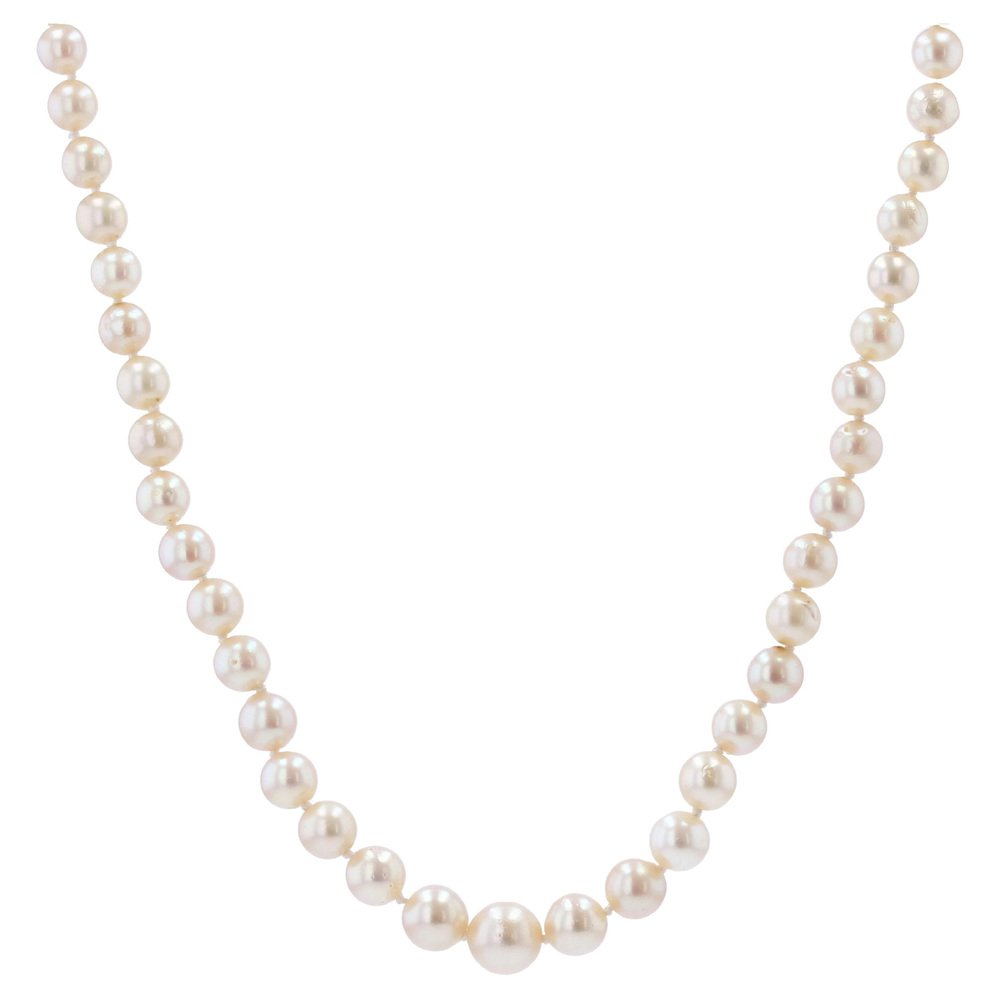 TINGN Collana Con Perle D'acqua Dolce Placcata Oro 14k, Girocollo Donna E Ragazza, Regalo In Elegante Sacchetto
