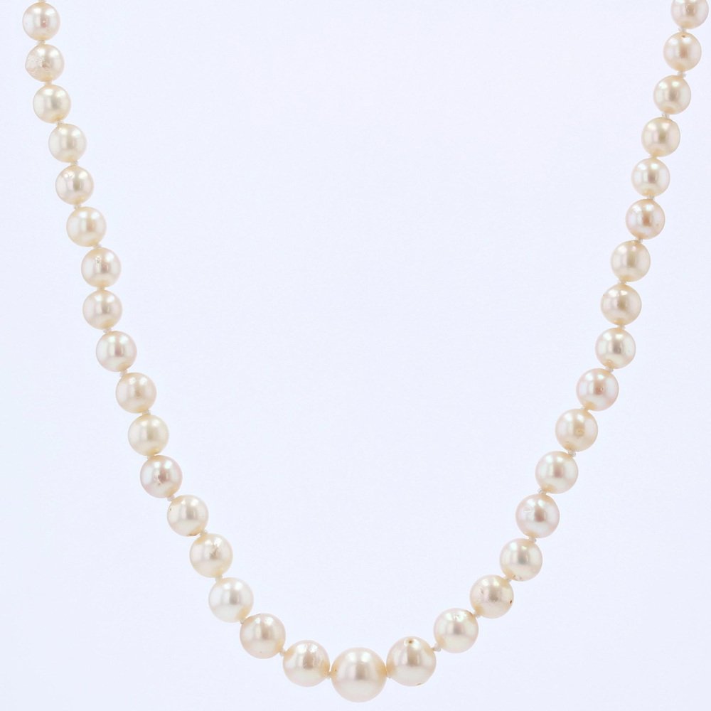CARISSIMA Collana Donna in Oro Giallo 9 ct con Catena Figaro Rope T-Bar con Chiusura Albert da 51 cm