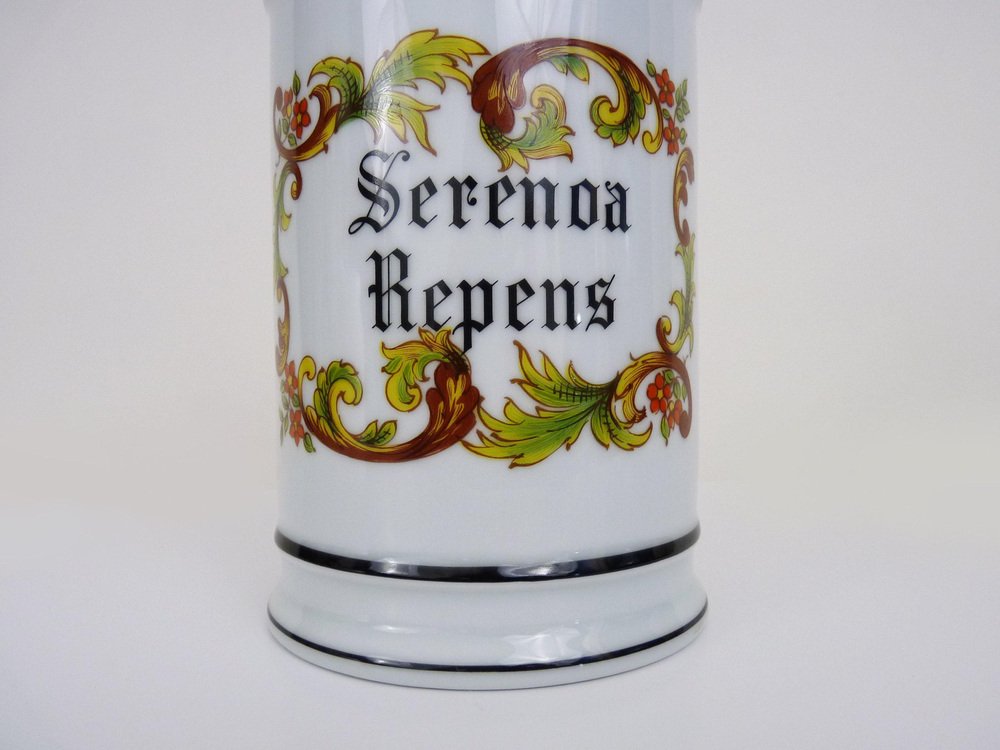 Vaso da farmacia in terracotta di Limoges, Francia, anni '60 in vendita