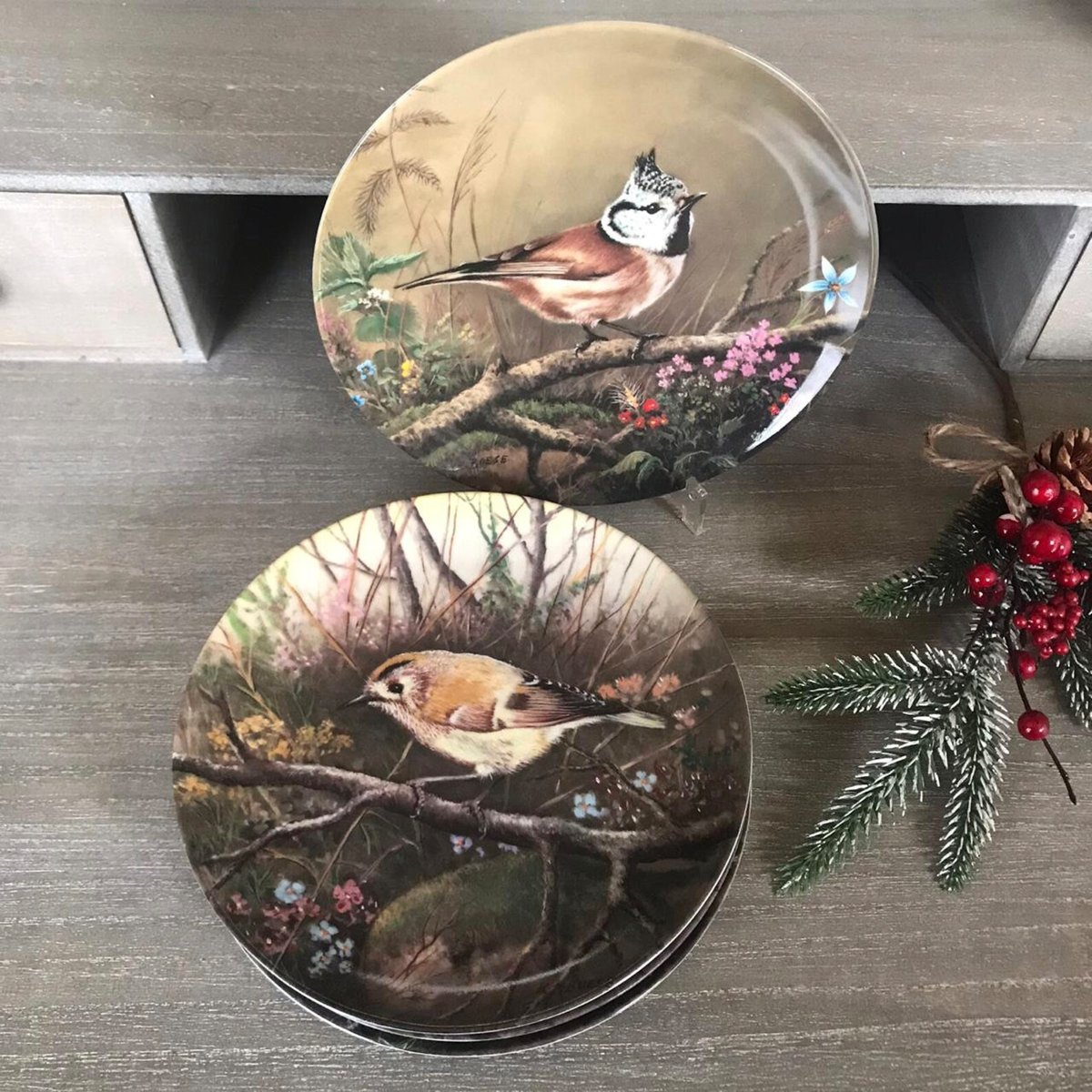 Decorative Сollectible Small World of Birds Wall Plates, Tirschenreuth