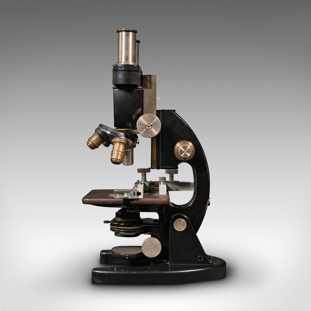 Vintage German Laboratory Microscopes by Carl Zeiss Jena, 1970s, Set of