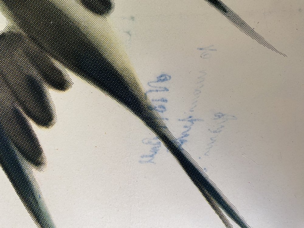 Italienisches Giovanola Milano Werbeplakat, 1960er bei Pamono kaufen