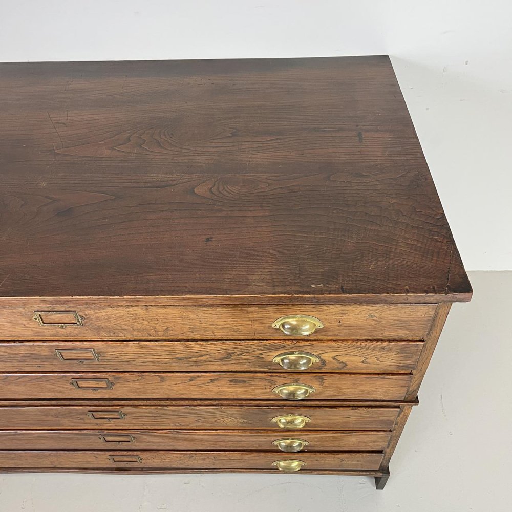Large Plan Chest with Brass Handles, 1930s for sale at Pamono