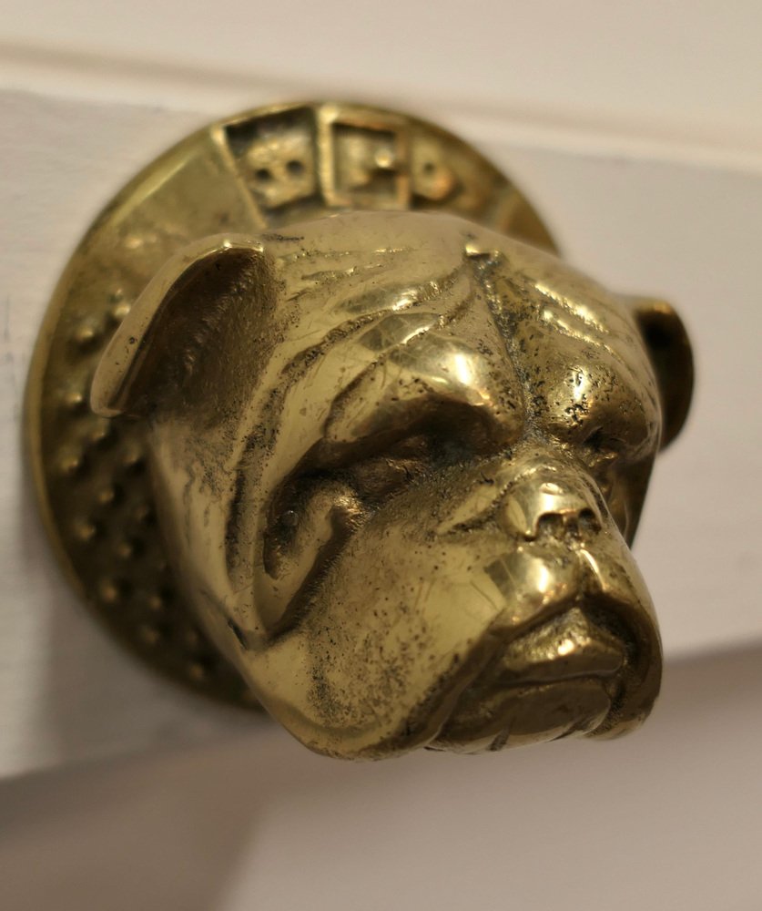 Brass Bull Dog Door Knocker, 1950s for sale at Pamono