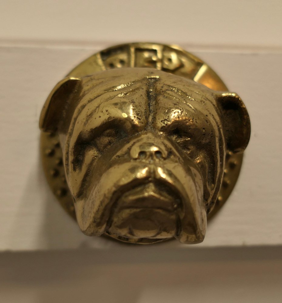 Brass Bull Dog Door Knocker, 1950s for sale at Pamono