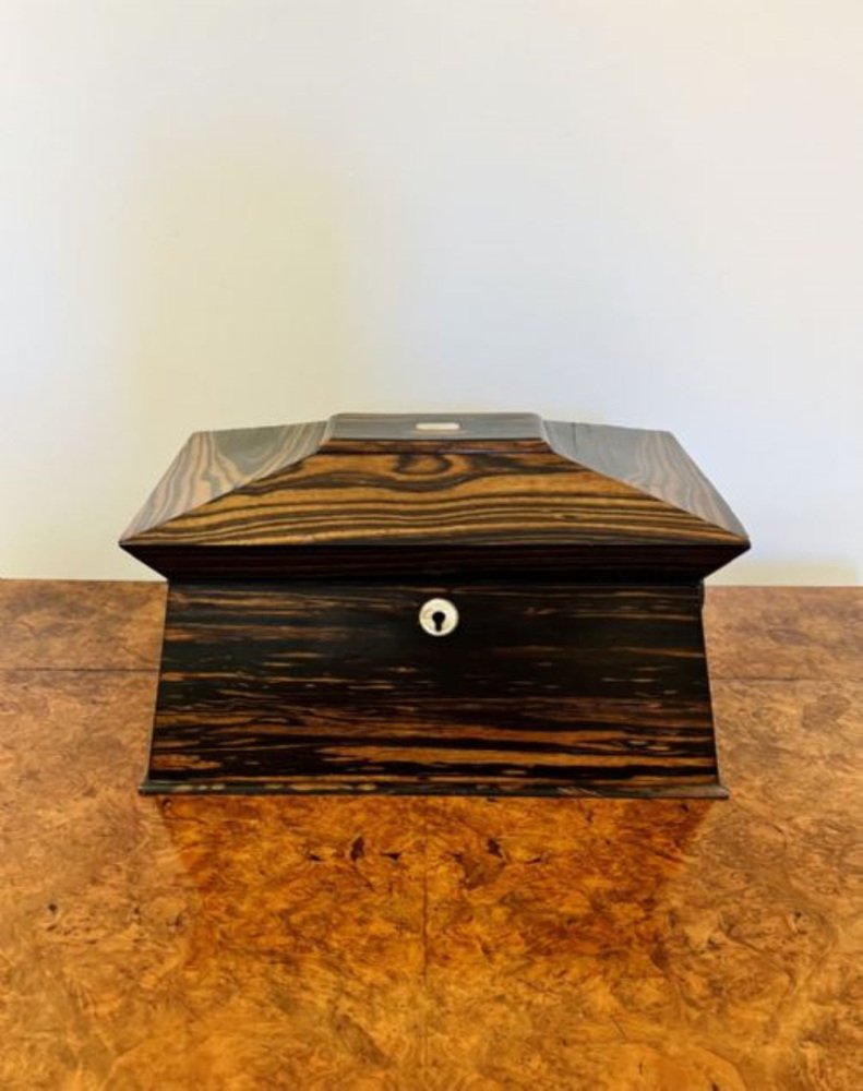 Regency Coromandel Wood Tea Caddy, 1830s for sale at Pamono