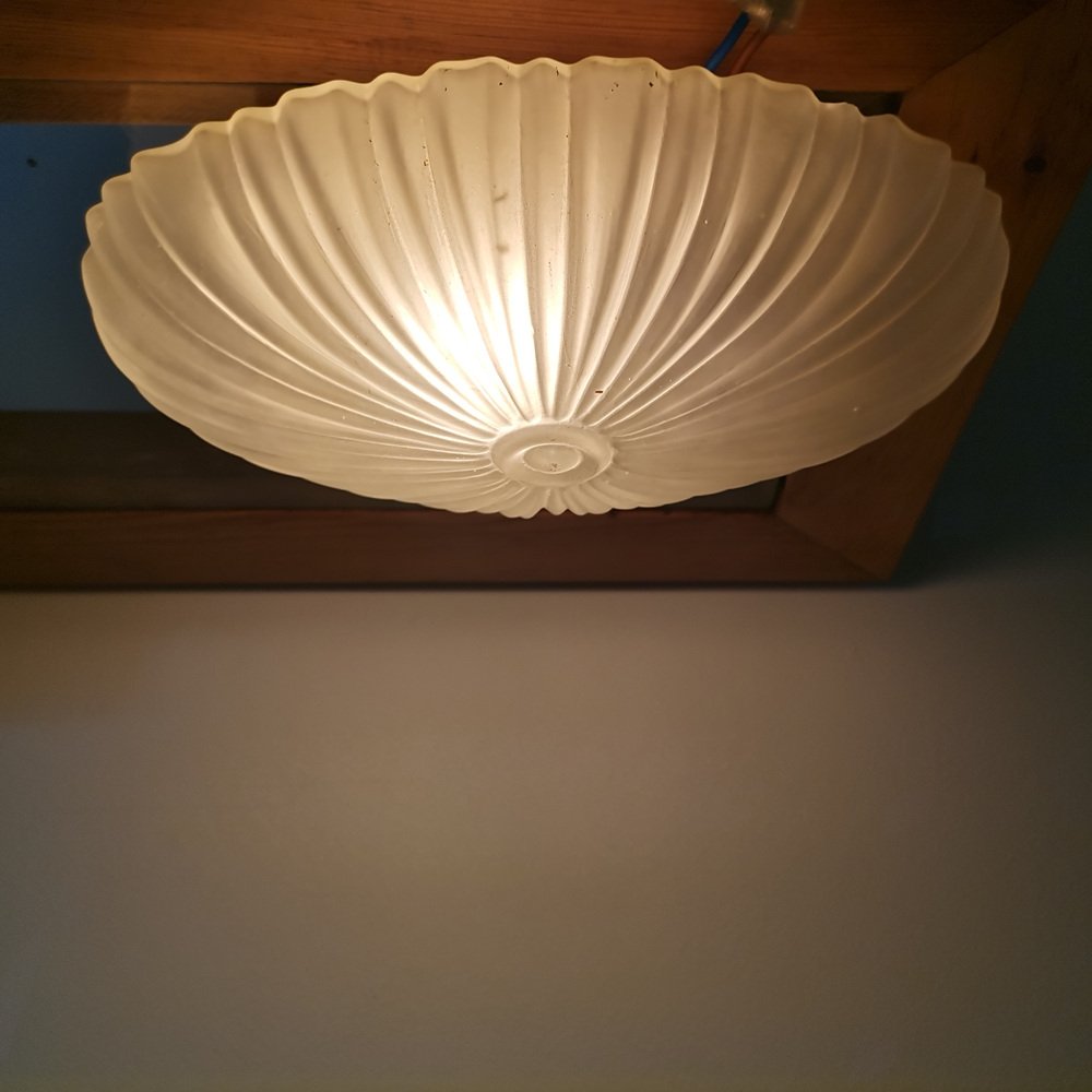 Oval Frosted Ribbed Glass Sea Shell Flush Mount Ceiling Light, 1970s ...