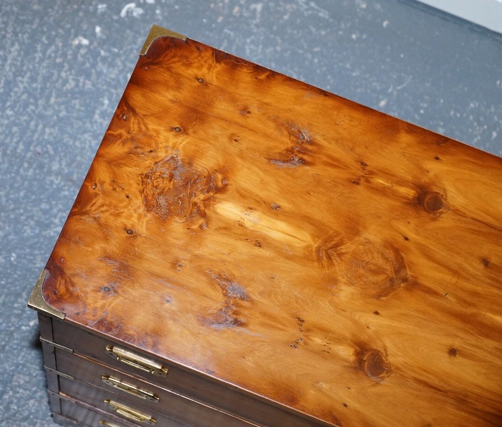 Vintage Burr Yew Wood Chest of Drawers with Brass Handles for sale at