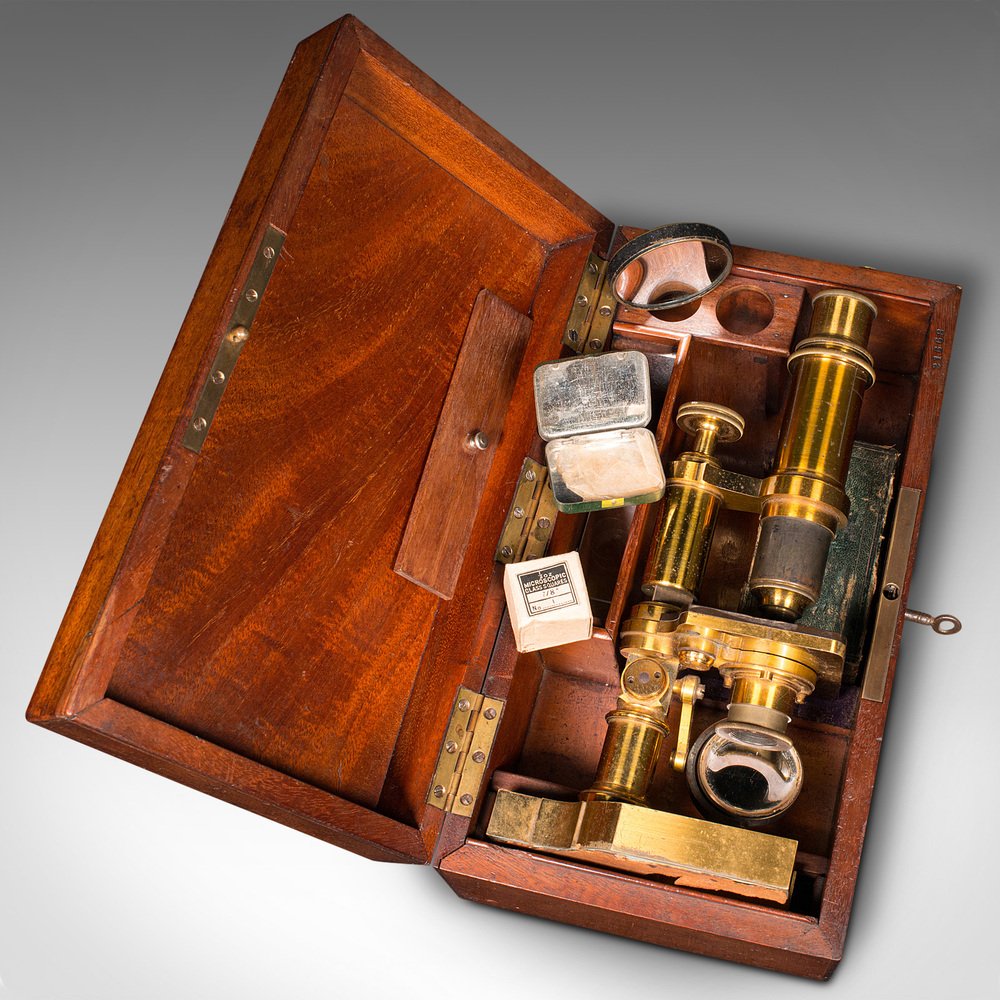 Microscope In 1900 English Monocular Microscope in Brass, 1900s for sale at Pamono