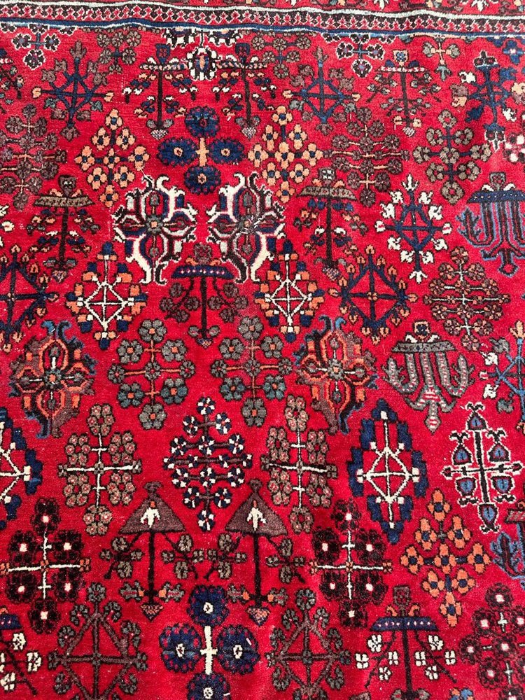 Vintage Joshaghan Rug, 1920s for sale at Pamono
