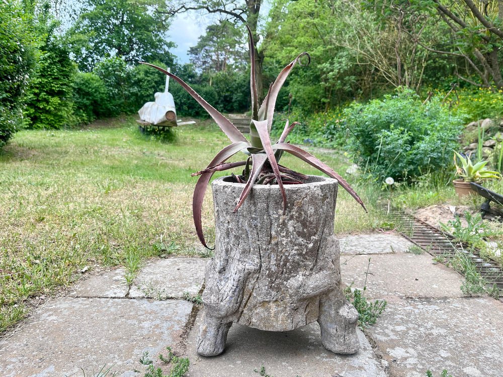 Large Antique Concrete Tree Planter for sale at Pamono